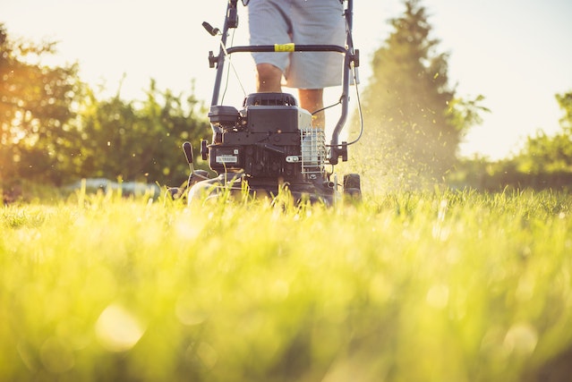 person mowing the lawn